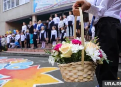 СМИ. Какие предметы появятся в школах ХМАО в новом учебном году