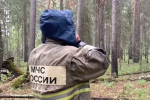 Найдено тело пропавшего в лесу жителя Малиновского