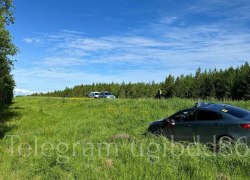 На трассе в Советском районе водитель иномарки сбил лося