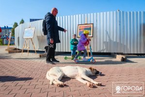 img_2482