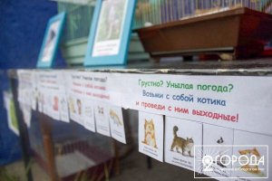 img_1917-2