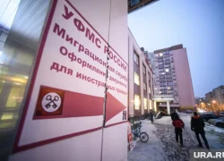 В ХМАО вполовину выросло число нелегальных мигрантов в 2024 году