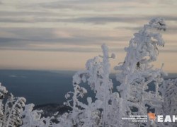 Ученый объяснил, почему зимы в России станут теплее