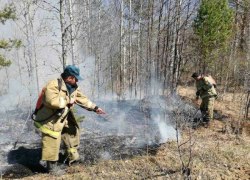 В ХМАО с 1 октября завершится пожароопасный сезон В ХМАО с 1 октября завершится пожароопасный сезон