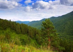 В ХМАО спасатели за сутки вывели из леса двух пенсионерок