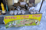 Усиление контроля за ввозом продукции животного происхождения из-за негативной эпизоотической ситуации