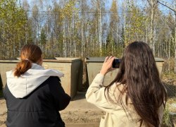 Специалисты администрации проверили мусорные площадки в СНТ после выхода диких животных