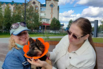 В городе Югорске прошла ярмарка - раздача бездомных животных &laquo;В Добрые руки&raquo;