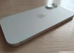 Превращение iPhone в "кирпич": что ждет россиян из-за спора ФАС и Apple