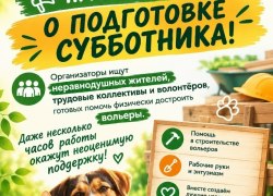 ​Приюту &laquo;Люси АНО &laquo;Перспектива&raquo; в Советском требуются волонтёры для строительства