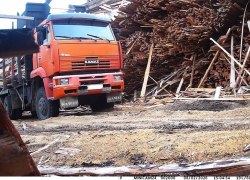 Пойман с поличным: фотоловушка помогла выявить незаконный сброс отходов в лесу