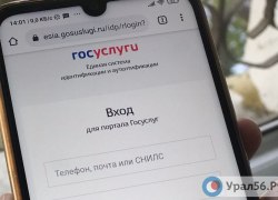 На &laquo;Госуслугах&raquo; появится &laquo;красная кнопка&raquo;, которая защитит от мошенников