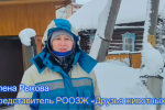 Инспекции улиц Советского района: отлов собак и борьба с самовыгулом