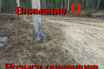Розыск очевидцев