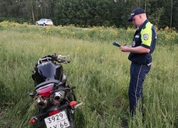 В Свердловской области небезопасный маневр велосипедиста привел к гибели двух человек