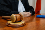 Советским районным судом взыскан ущерб за незаконную охоту на двух лосей