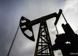 В ХМАО снизилась прибыль нефтяных компаний