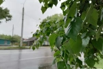 Опасных явлений становится больше в России из-за изменения климата