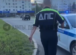 Инцидент с тонировкой: составлен протокол за отказ выполнить требование сотрудника ГИБДД