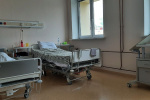Вирус Нипах: симптомы похожи на грипп, а смертоносность выше, чем у COVID-19