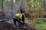 В ХМАО в июле ожидаются мощные лесные пожары