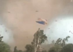 Собака, которую вместе с будкой унес ураган, вернулась к своему дому