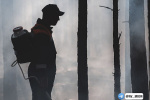 В ХМАО действует 7 природных пожаров