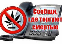 В Советском районе стартовал второй этап всероссийской акции «Сообщи, где торгуют смертью»