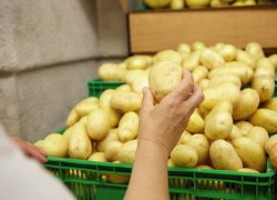 Оптовые цены на картофель в России взлетели почти на 40%