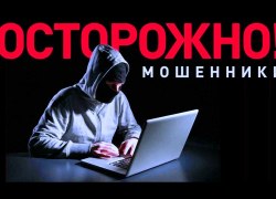 За выходные Полиция Югры зафиксировала 35 фактов мошенничества и краж с банковских карт, совершенных дистанционным способом.