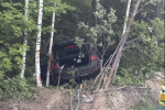 На трассе ХМАО в ДТП с лосем погибла девушка