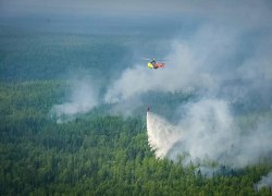 Площадь лесных пожаров за сутки в ХМАО выросла в полтора раза, в ЯНАО &mdash; втрое