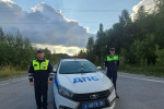 В Югре автоинспекторы помогли доставить в больницу женщину, пострадавшую от укуса змеи