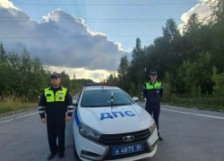В Югре автоинспекторы помогли доставить в больницу женщину, пострадавшую от укуса змеи