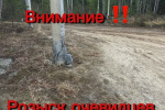 Наезд на опору ЛЭП в Советском. Розыск очевидцев