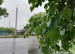 Опасных явлений становится больше в России из-за изменения климата