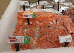 Насколько подорожает лосось в России из-за провала путины