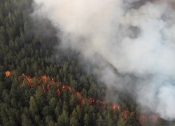 В ХМАО продолжают гореть леса