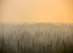 За неделю в Югре ликвидировали 4 природных пожара
