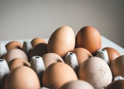 Роспотребнадзор напомнил о риске заражения сальмонеллезом через куриные яйца