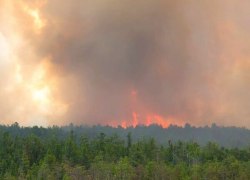 ХМАО и ЯНАО оказались в списке самых пожароопасных территорий в августе