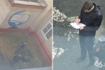 Школьник выстрелил из сигнального пистолета в одноклассницу