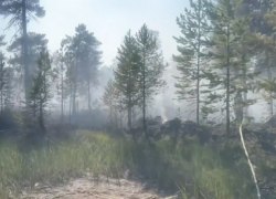 В ХМАО обостряется ситуация с лесными пожарами: огонь подошел к одному из городов