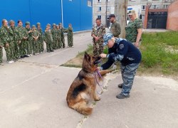 В Советском районе в рамках акции &laquo;Каникулы с Общественным советом&raquo; прошла информационно-познавательная встреча с детьми