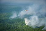 В ХМАО возобновились лесные пожары