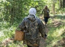 ​Спасатели нашли в лесу пропавших югорчанок