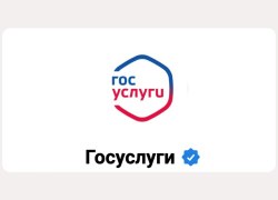 Студент из ХМАО стал фигурантом дела о взломе 30 аккаунтов на &laquo;Госуслугах&raquo;