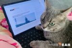 Россиянам напомнили, сколько они будут работать и отдыхать в мае