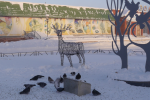 Можно ли заразиться от птиц в городе