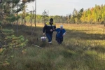В Нижневартовском районе две дачницы чуть не увязли в болоте